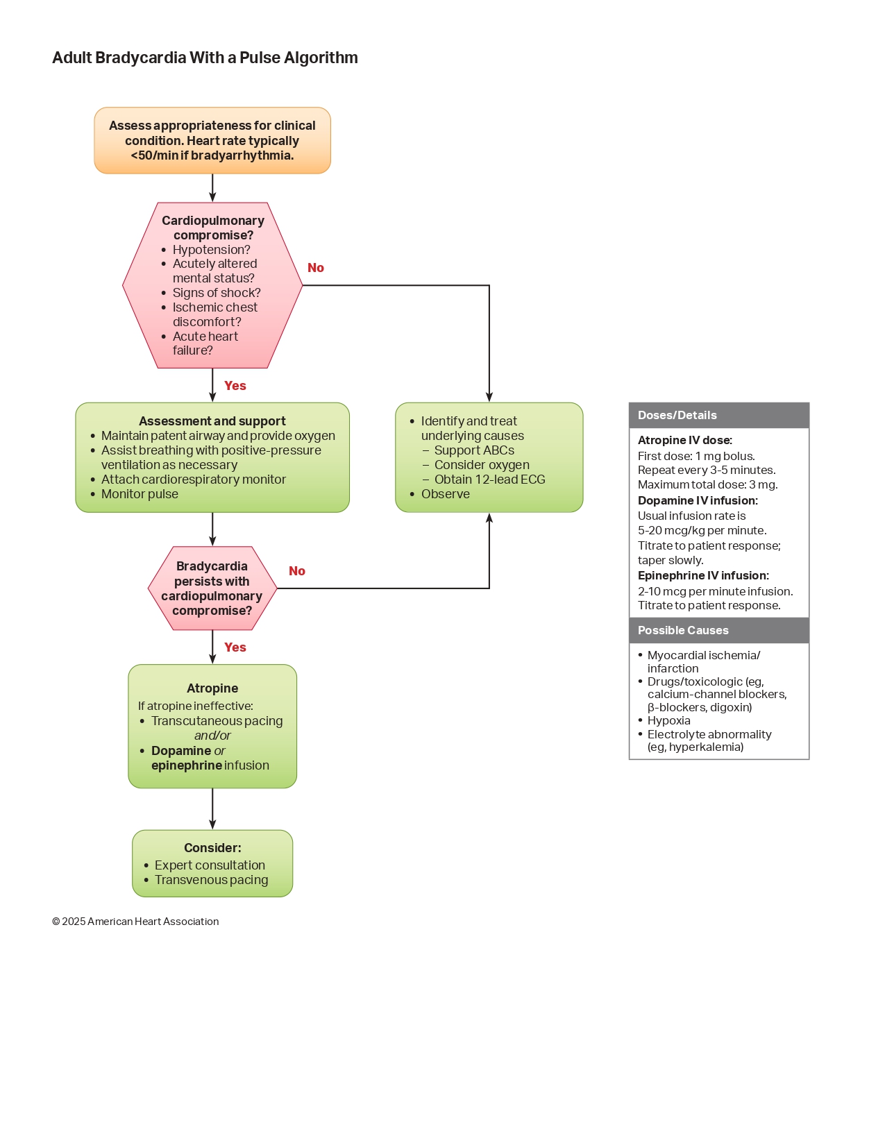 AHA 2025 Bradycardia With a Pulse Algorithm