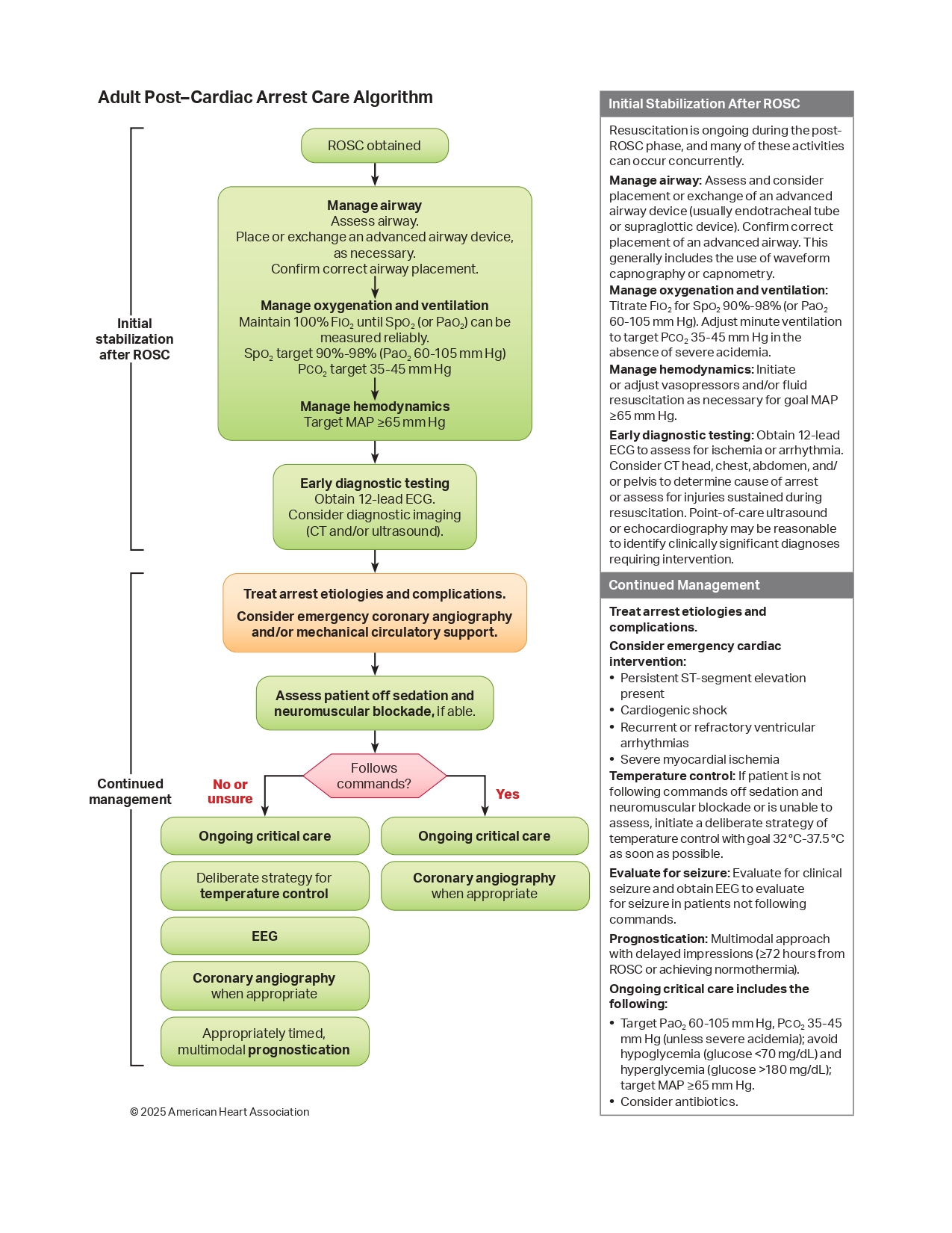 AHA 2025 Post–Cardiac Arrest Care Algorithm
